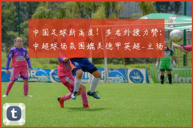 中国足球新高度！多名外援力赞：中超球场氛围媲美德甲英超_主场_观众_葡萄牙体育