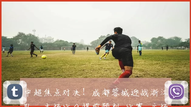 中超焦点对决！成都蓉城迎战浙江队，本场比分提前预判_比赛_主场_罗斯·阿洛伊西