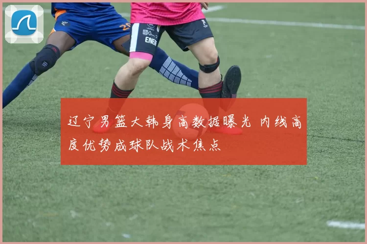 辽宁男篮大韩身高数据曝光 内线高度优势成球队战术焦点