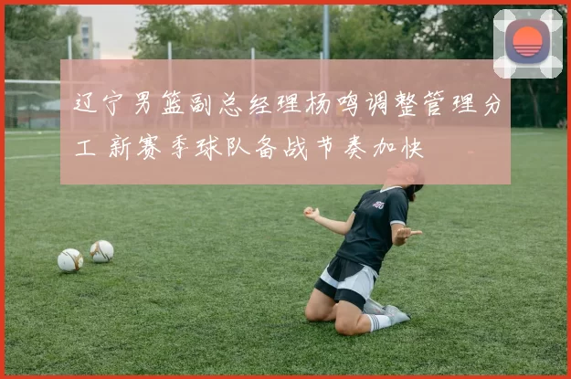 辽宁男篮副总经理杨鸣调整管理分工 新赛季球队备战节奏加快