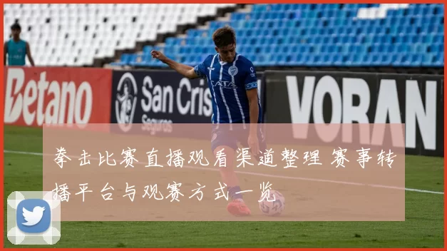 拳击比赛直播观看渠道整理 赛事转播平台与观赛方式一览