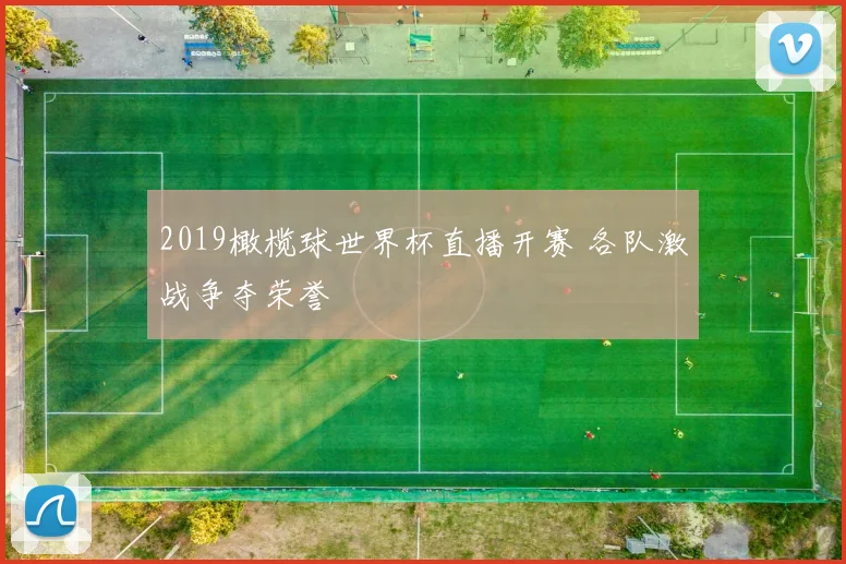 2019橄榄球世界杯直播开赛 各队激战争夺荣誉