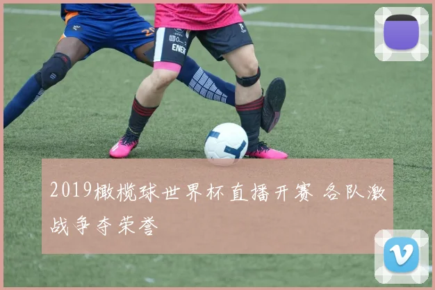 2019橄榄球世界杯直播开赛 各队激战争夺荣誉